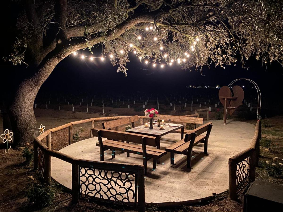 Finca Casaes Apartamentos Torralba de Oropesa 외부 사진