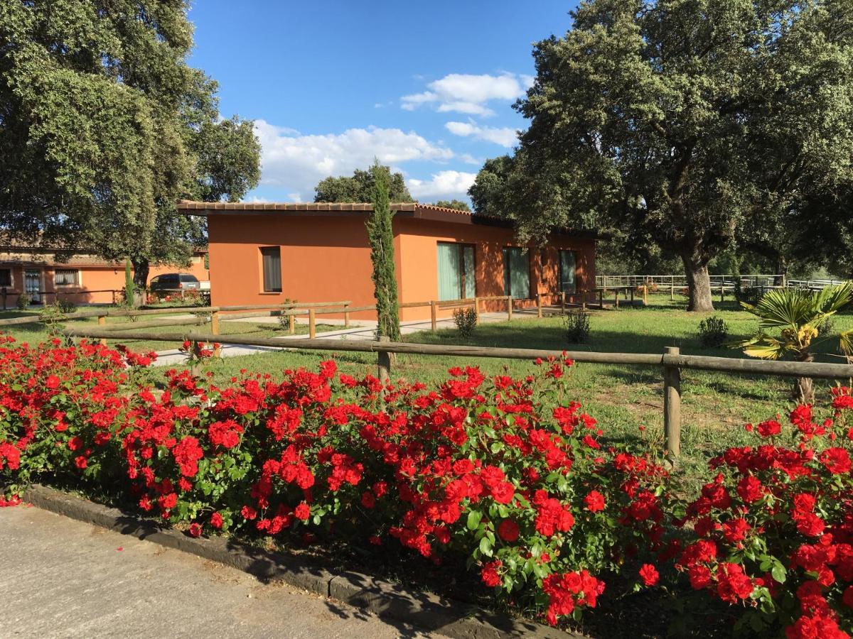Finca Casaes Apartamentos Torralba de Oropesa 외부 사진